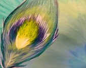 11 x 14 Original Peacock Feather Acrylic Canvas Painting