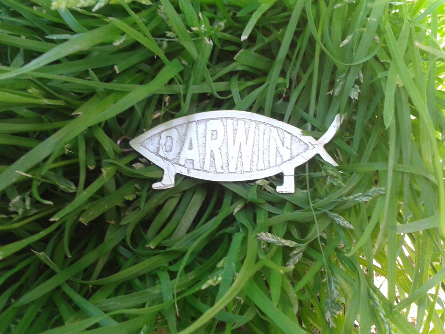 Darwin Fish Key Chain