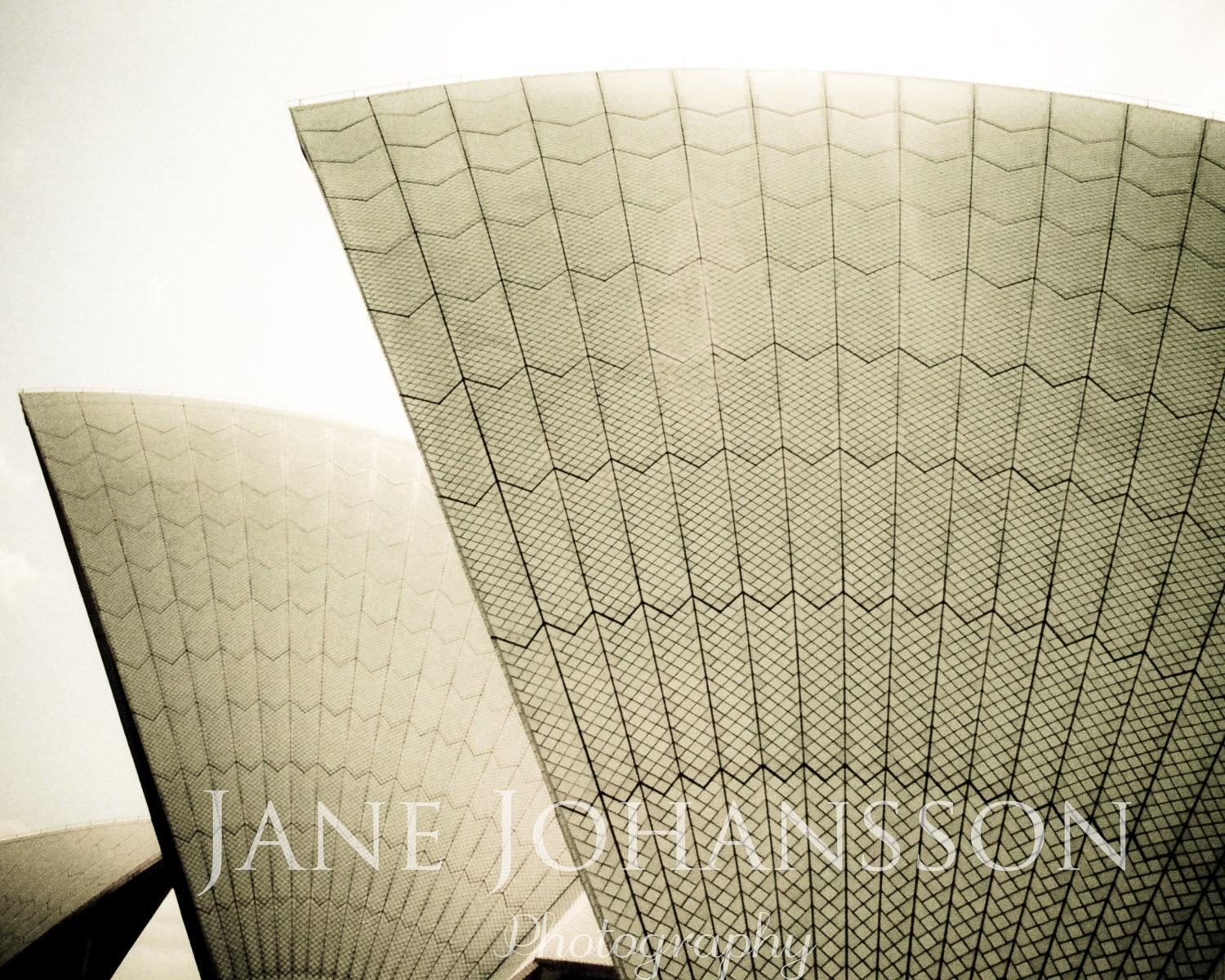 Sails of Sydney 1 - fine art architectural photo, abstract photograph of Sydney Opera House in sepia - 8"x10" original photography print.
