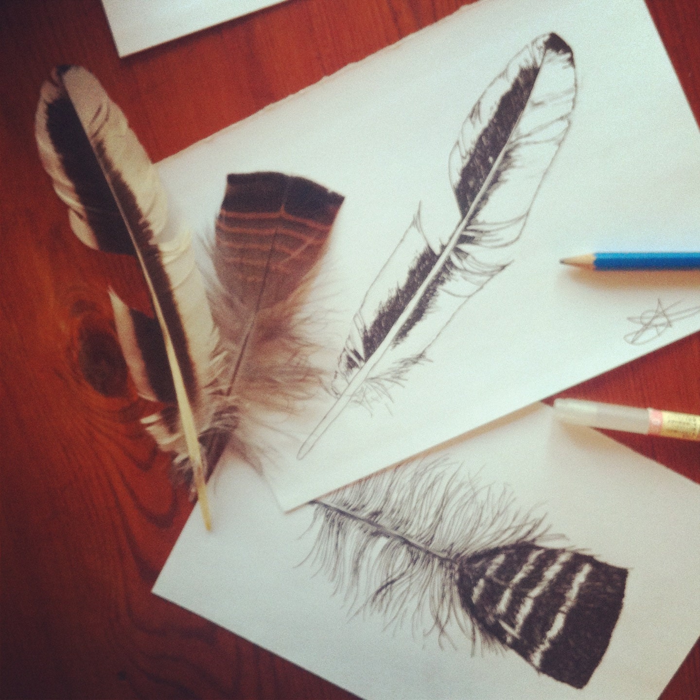 One of a Kind Original Feather Drawing - Drawn to Order // help support my photography habit