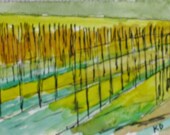 California Landscape Watercolor Painting. Sonoma Vineyard in Mustard Season. Original Art ACEO.  California Art. "Sonoma Mustard 1"