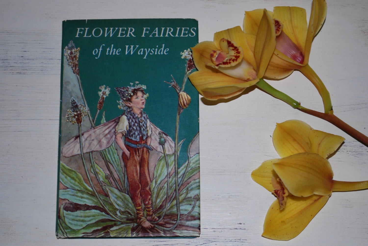 FLOWER FAIRIES of the Wayside Vintage book, poems and picutres by Cicely Mary Barker, Beautiful Illustrations