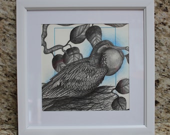 Original bird graphite pencil drawing