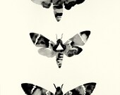 Geometric Deaths Head - Original Watercolor
