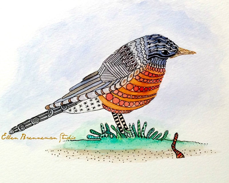 American Robin watercolor illustration