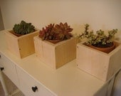 Planter box, flower pot, garden vase, cedar wood cube pot, holds 4 inch clay pots, Custom Sizes Also