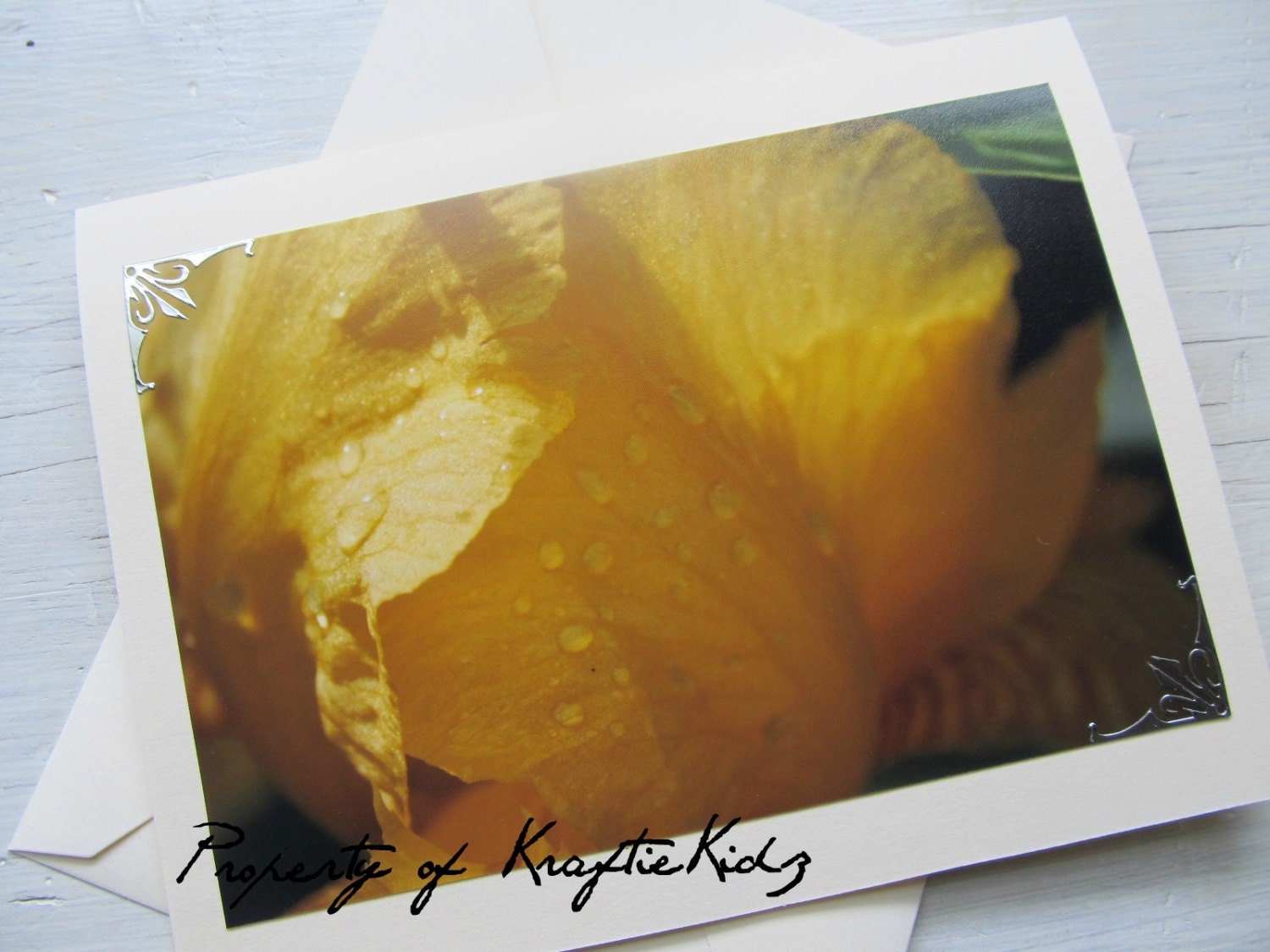 Photo Card Raindrops on Yellow Iris