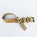 Dog Collar - Eco Friendly  XS/SM
