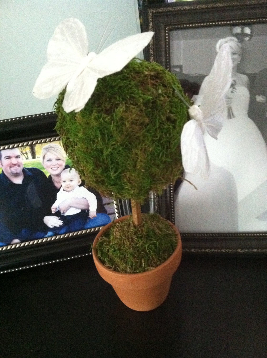 Moss and butterfly Topiary, Moss Topiary, Spring Decorations, Home Decor
