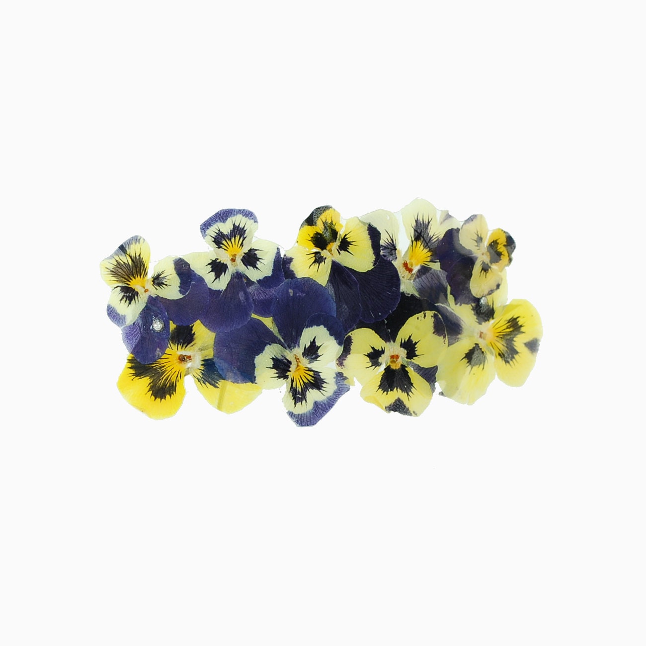 Yellow and purple brooch with natural flowers - laminated petals - floral brooch - turquoise, blue and green
