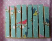 Bird fridge magnets clothespins pegs