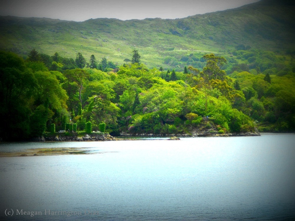 Ireland Photo - Irish Stone Circle - Ireland 8x12 Digital Art Photography Print Stone Circle Ivy Ireland Forest