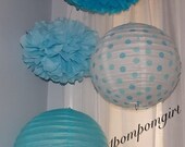 Winter Wonderland  2 Tissue Paper Pom Poms & 2 Decorated Paper Lanterns (Blue)