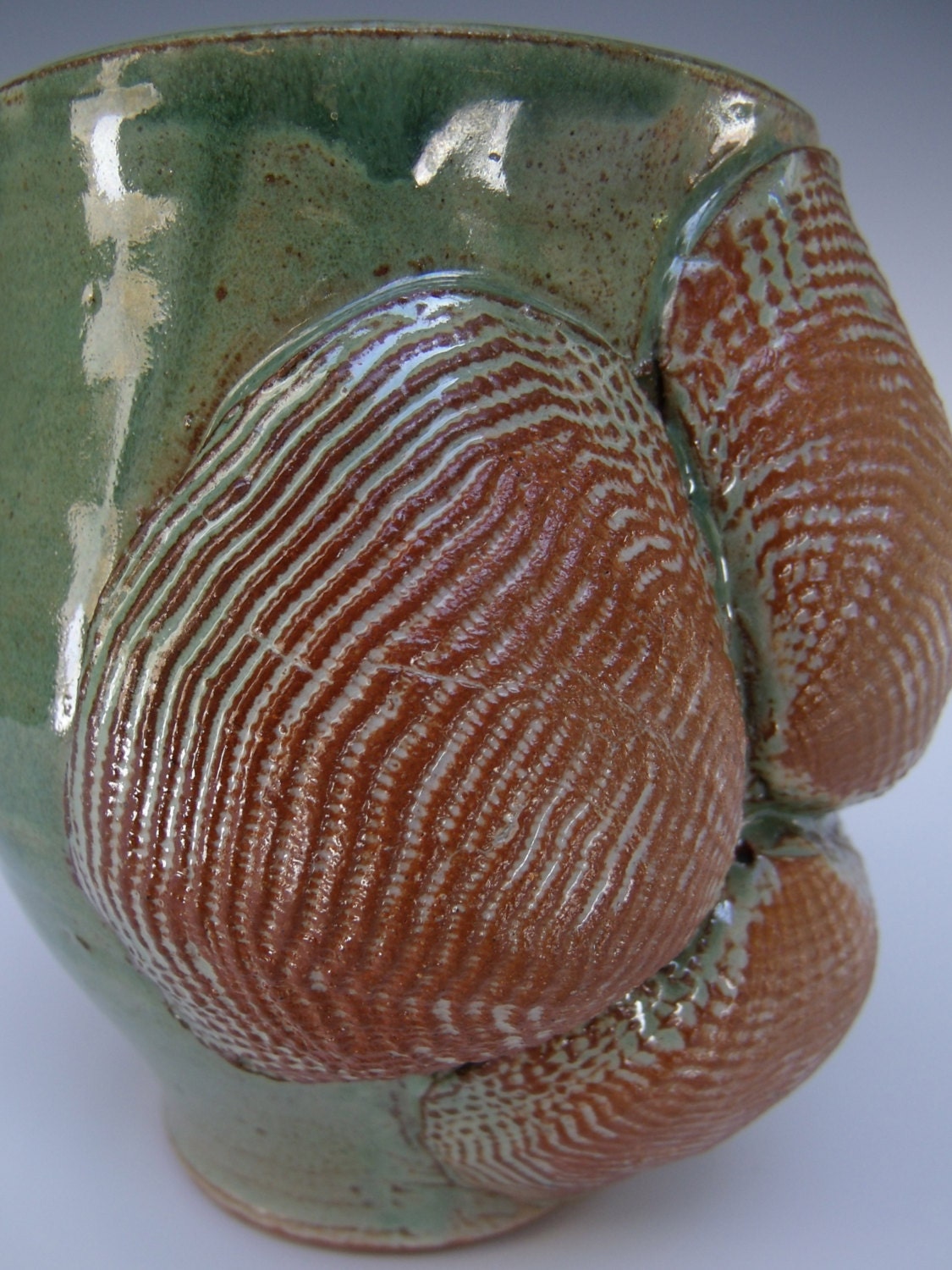Sea Shell Mug / Green with Three Brown Sea Shells