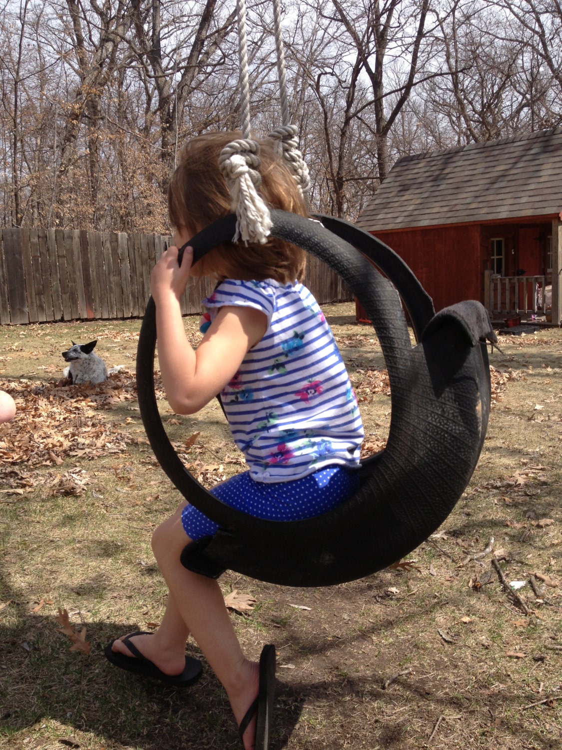 Classic Tire Swing- recycled materials