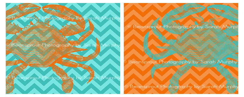 Chevron Blue Crab Aqua & Orange - 2 8x10 Prints - Chevron - ocean nursery, sea nursery, chesapeake, beach