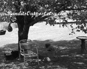 Black and White Southern Summer Lawn Digital Download Original Photography
