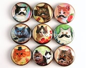 cat kitty magnet funny humor vintage mustache pet fridge pin badge button cab charm