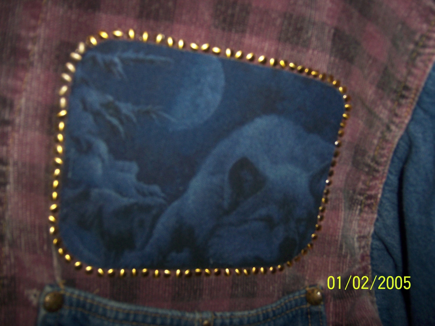 Clothing Flannel Blue Jean Long Sleeve Shirt Cosi Size XL 18-20 Quality Handcrafted Native American Theme Wolf Gold Studs Mens Womens Teens
