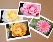 Set of 4 Blank Photo Note Cards: FLOWERS