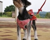 Red plaid pet chest straps Traction rope pet rope dog collar chest back with the dog rope drawstring