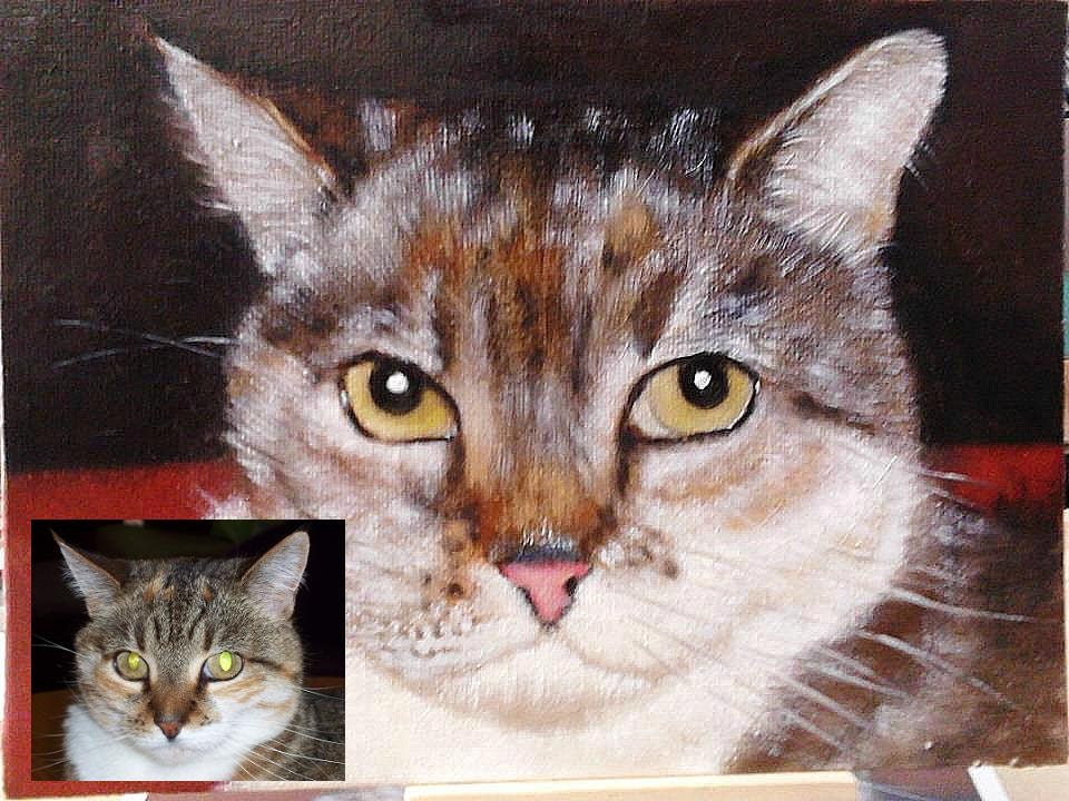 Custom Pet Portraits - Original Oil Painting Art - White Cat - Size 6" x 8"