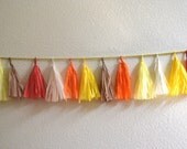 Fire and Desire Tassel Garland
