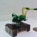 Big green circuit bug