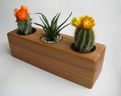 Handmade Wooden Flower pot BEECH  wood Succulent grow pots Natural wood Outdoor Garden Pot Wedding gift Solid wood Woodworks