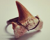 Moon Metal Shark Tooth Ring