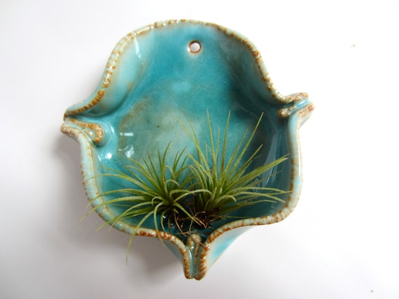 Buy plants wedding gifts - Air plant holder.  Turquoise tllandsia pot.  Hanging airplant.  Turquoise tilly container.  Housewarming gift.  Hostess gift.  Wedding gift.