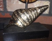 Brass conch shell wall hanging/beach decor/nautical/cottage