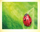 Lady Bug , Art Watercolor Painting print by Suisai Genki - 8x10 - Fine Art , Art Print , Giclee Print, Green, Red, Yellow, Black, Gold