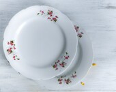 Vintage Dinner plates/ Spring Flower Pattern / Floral dishes Set of 2/ French Country, Cottage and Shabby Chic Decor/ SALE 50% OFF