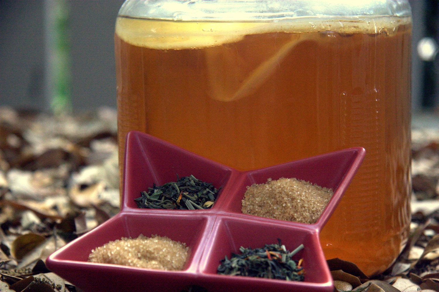 kombucha DIY home brewing kit - includes SCOBY & all supplies for first gallon
