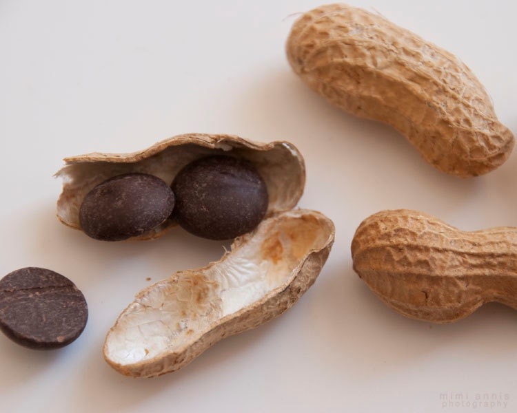 Chocolate Peanuts Photograph, Fine Art  Print, 8x10, Food Photography, Kitchen Decor, Still Life