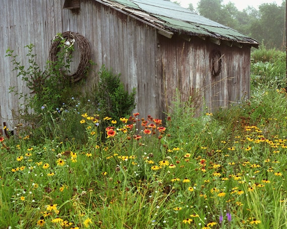 Rustic Photograph Garden Shed Country Garden by SimplyArtful