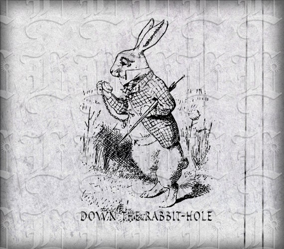 White Rabbit  Alice in Wonderland Illustration with Caption Down the Rabbit-Hole High Resolution 300 dpi. Digital Instant Download. Img017