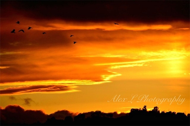 Sunset Photography - sunset wall art - yellow orange spring autumn art prints sunset decor fine art - 8x10 Photograph
