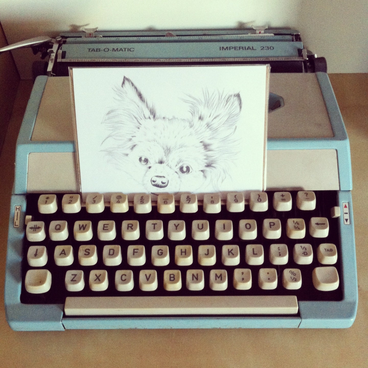 Chihuahua Greetings Card.