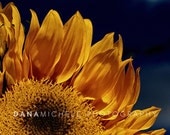 Sunny Day Sunflower - Summer Yellow Floral Yellow Flower Room Decor Art 8x10 Faded