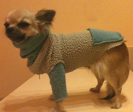 DOG Clothing / Warm fleece jacket for small dog / Recycling / Upcycling / Handmade
