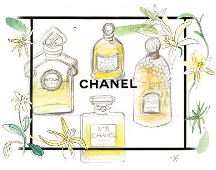 Paris print, Perfume bottles illustration on Chanel packaging, 8X10 print, French drawing, fashion, champagne