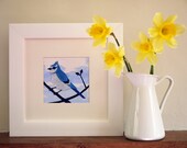 Blue Bird Illustration - Cut-paper Collage