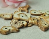 100pcs Natural Coconut Wood Beads Chips Beads Assorted Shapes 30x15mm MT135