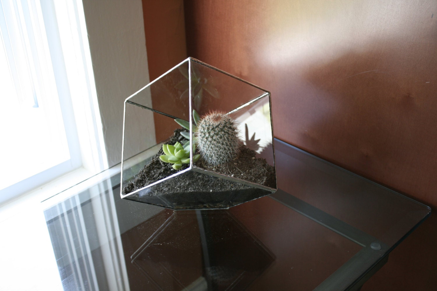 Handmade Glass terrarium cube- geometric planter- great for succulents, air plants, cactus - recycled glass