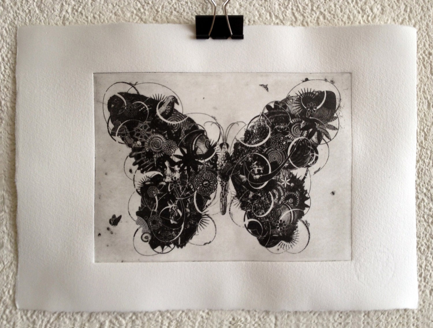 On the Nature of Things: Butterfly 2
