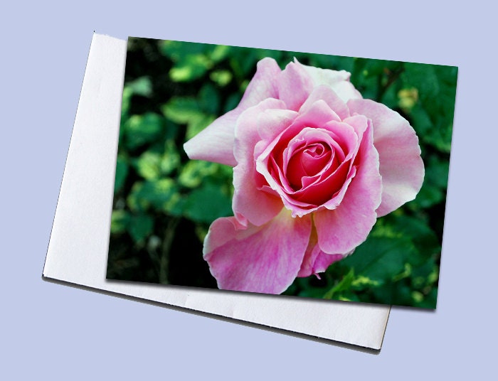 8 Miniature blank note cards-Paper Goods-nature, Art, Photography, pink, green spring summer stationery gift tag art card