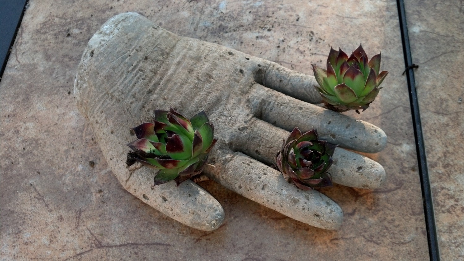 Hypertufa Succulent Pots and Hand(SET) Garden, Gardening, Cement, Concrete, Decor, Unique, Cute, Outdoor, Decoration, Stone, Patio, Art,
