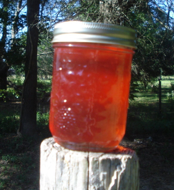 Mayhaw Jelly Homemade, 8oz Grandma's mayhaw recipe